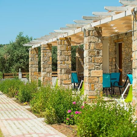 Olive Land Villas 利迈纳里亚 外观 照片